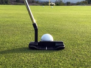Ocean PInes MD Homes on Golf Courses