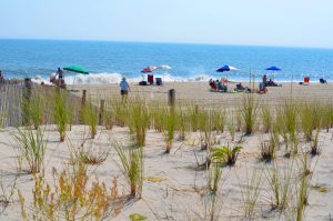Barrier Island