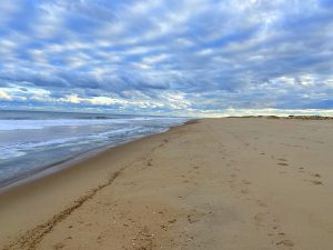 Delaware Beach