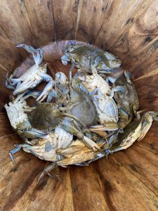 Soft Crabs