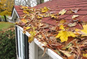 Remove Gutter Guards