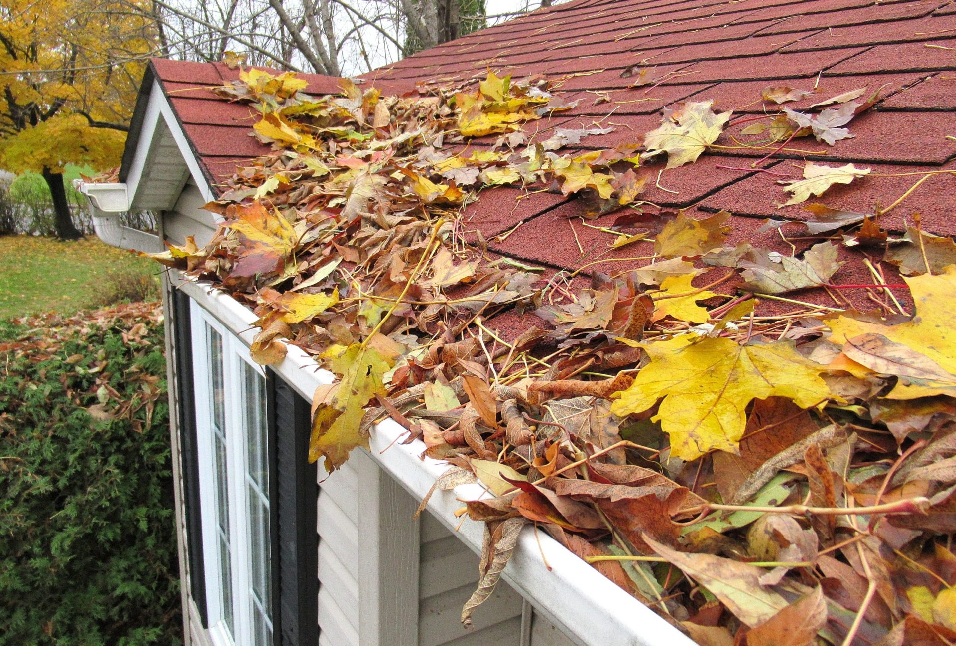 Guidelines for How to Clean Your Gutters and Downspouts