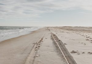 Tracks left by a beach buggy