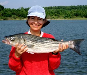 Woman with stripped bass that can be caught on a Maryland free fishing day