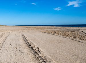 Delaware Coast