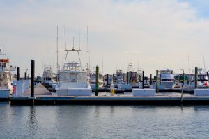 Boats in Slips