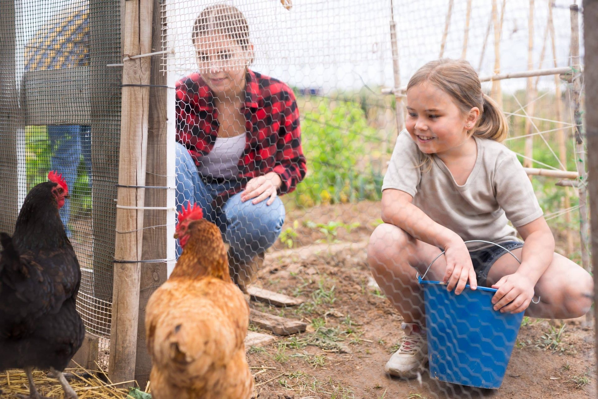 Girls feeding chickens