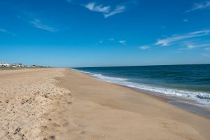 Delaware Seashore State Park