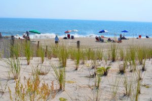 Sand dunes and people on the beach